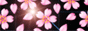 �������o�C�g���@�[��
