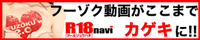 �������uR18navi�v